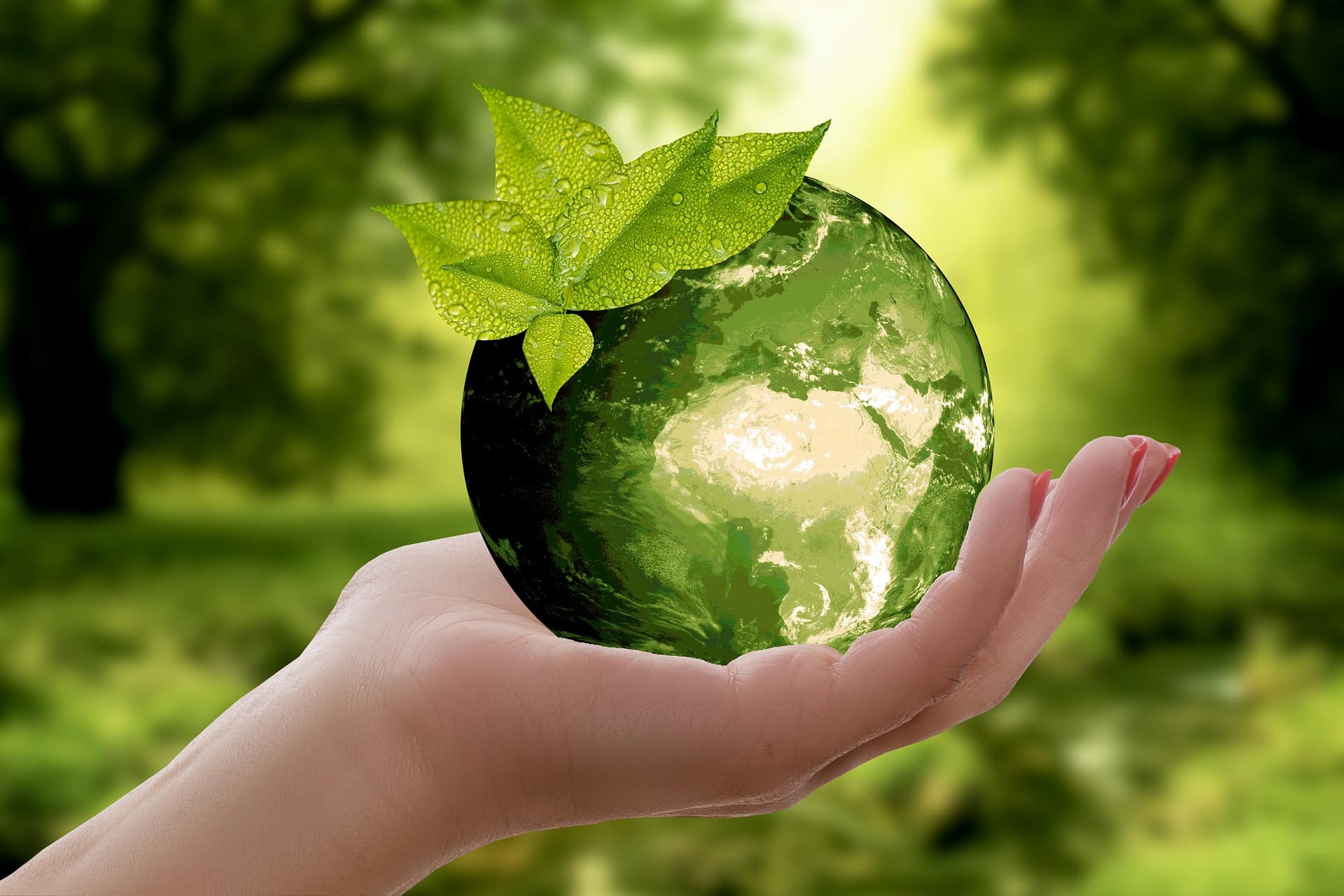 Sustainability in the Removals Industry: Greener Ways to Move