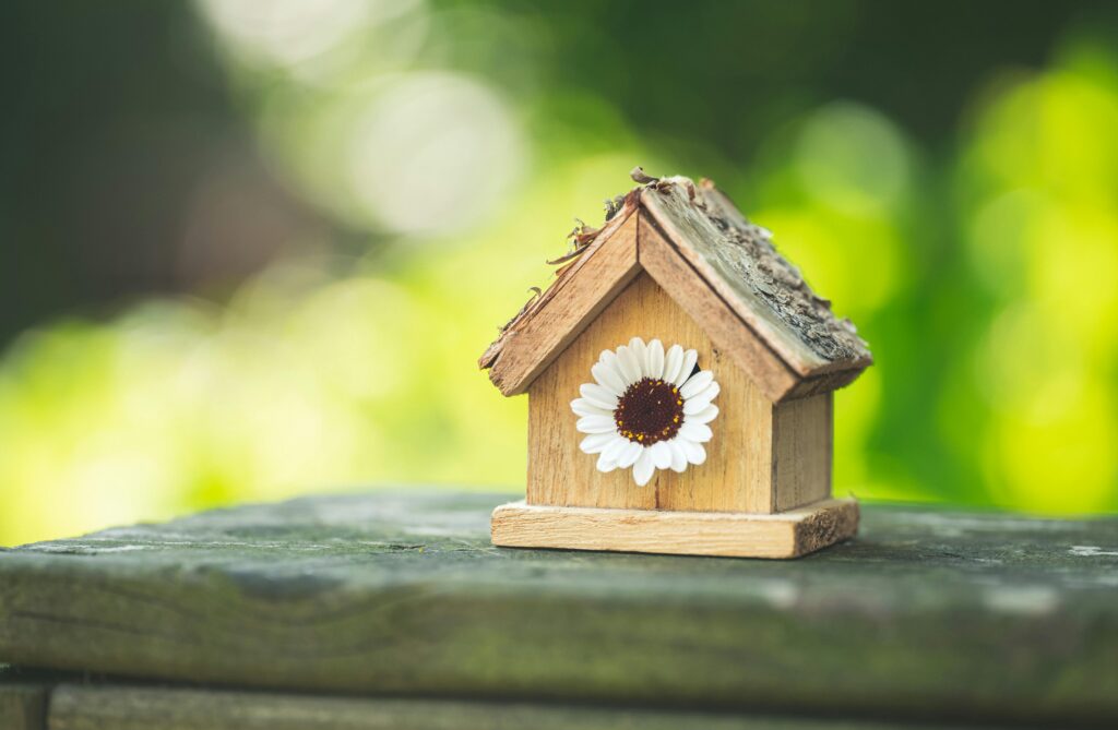 downsizing the house