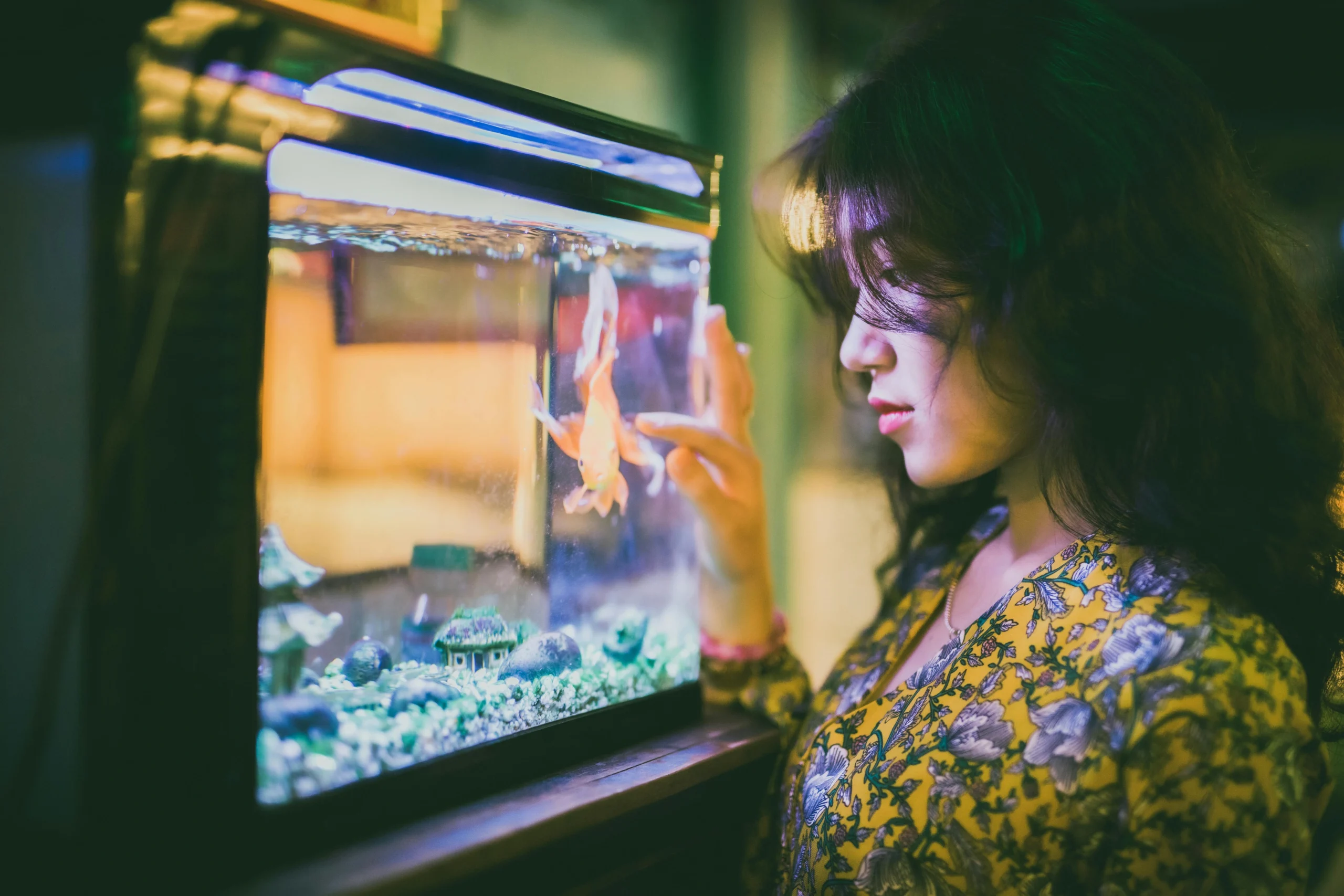 fish tank