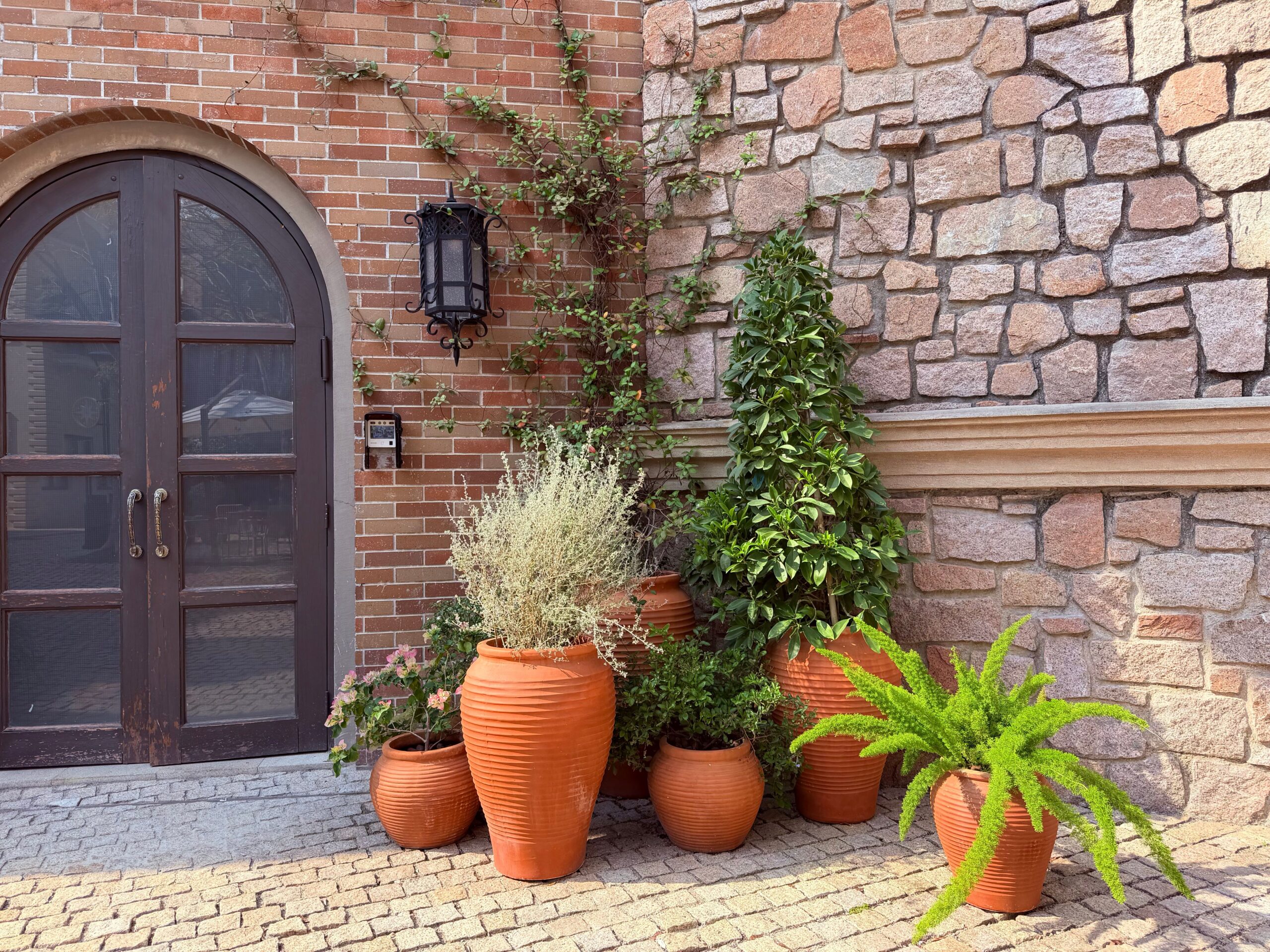pots and plants