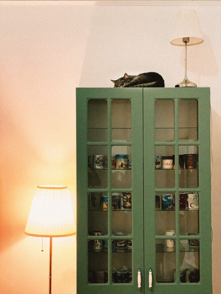 Glass shelf