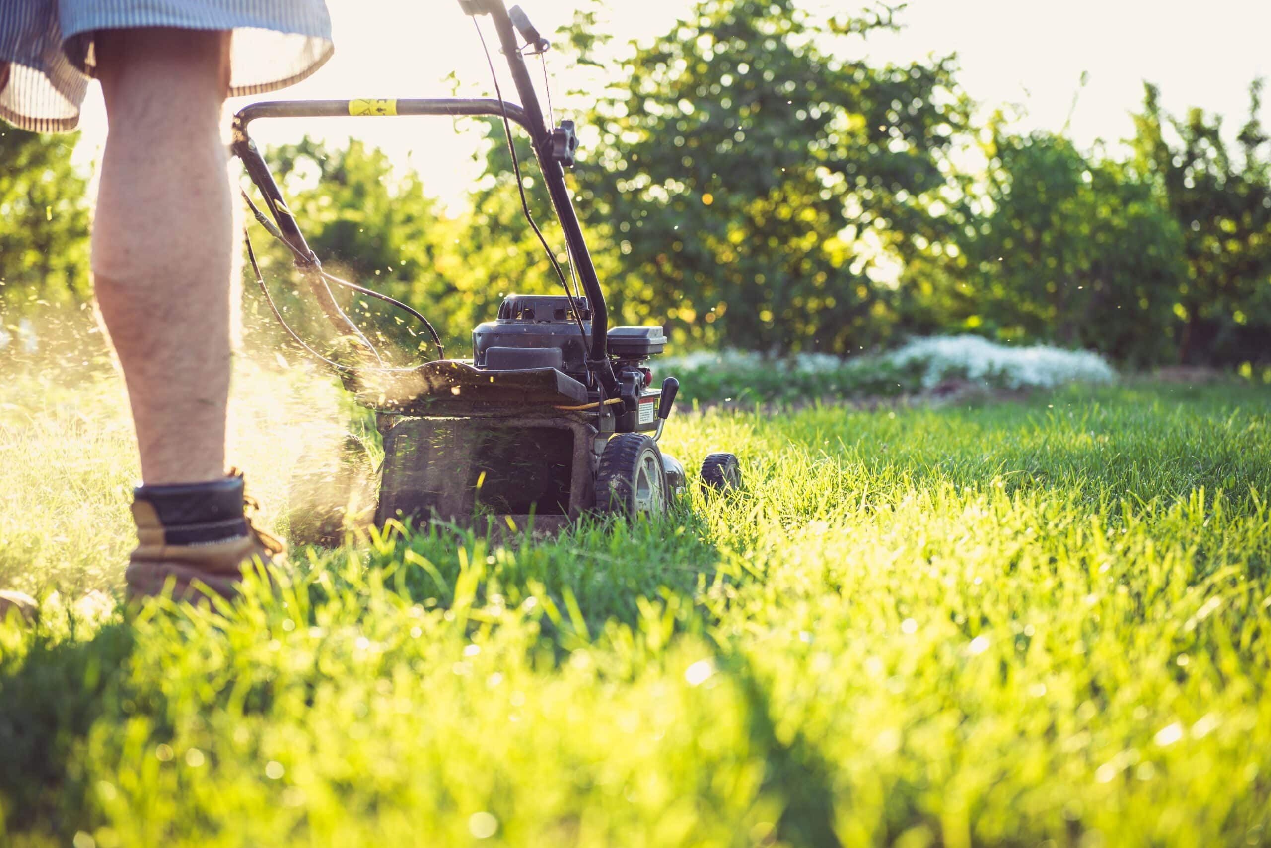 lawn mower