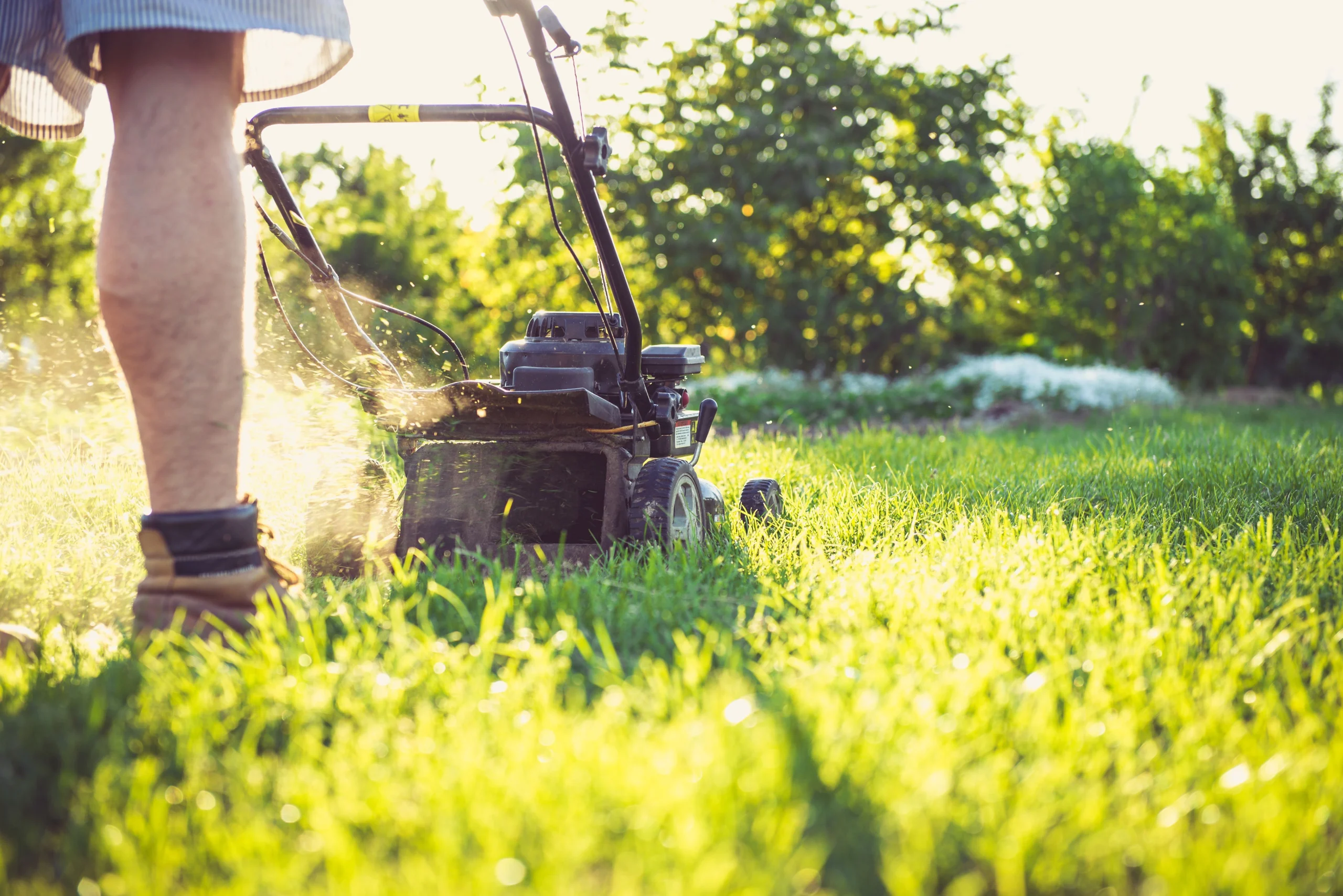 Lawn mower