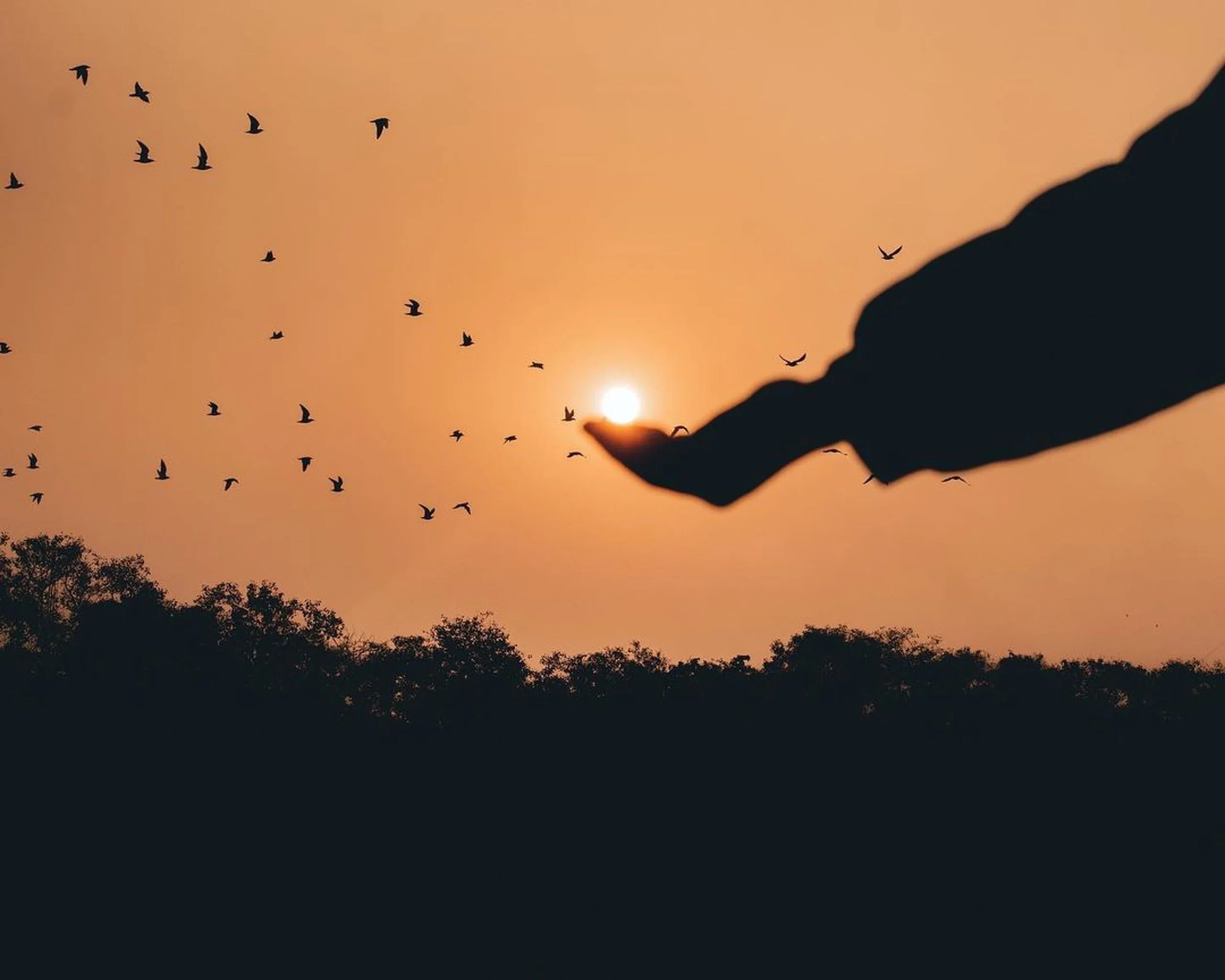 Letting go